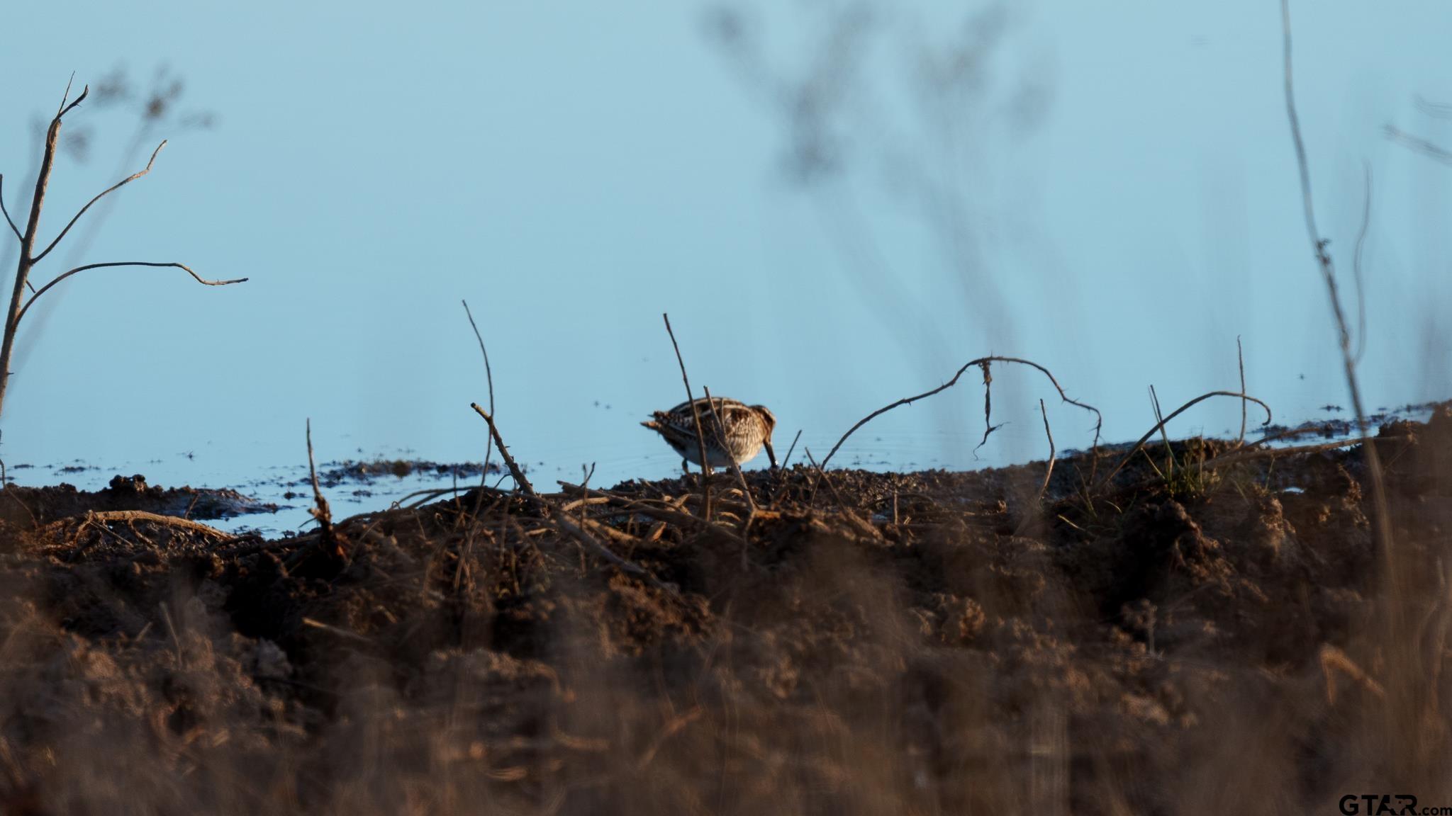 779 County Road 33060 Sumner, TX 75486 - Photo 17 of 48