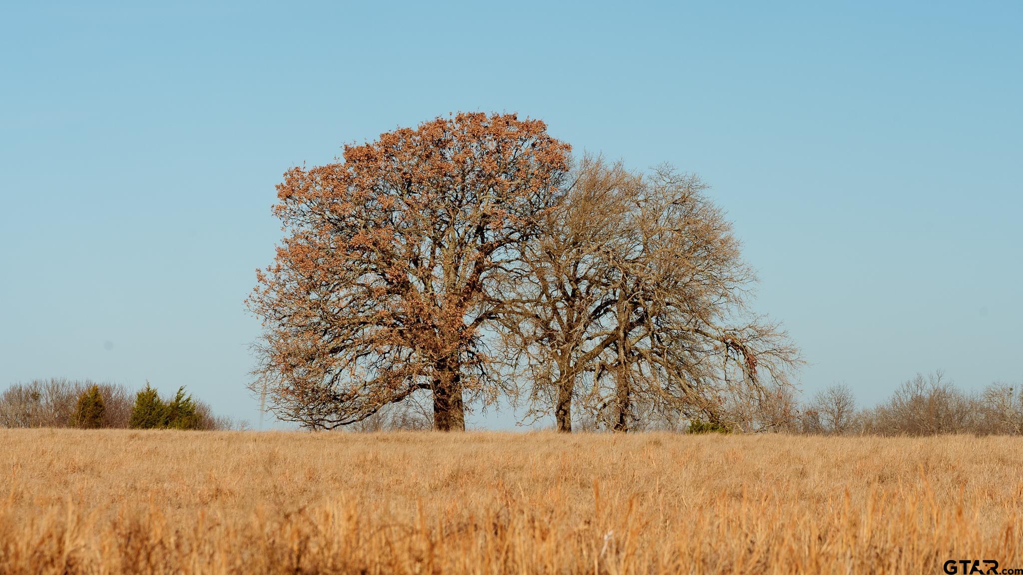 779 County Road 33060 Sumner, TX 75486 - Photo 28 of 48