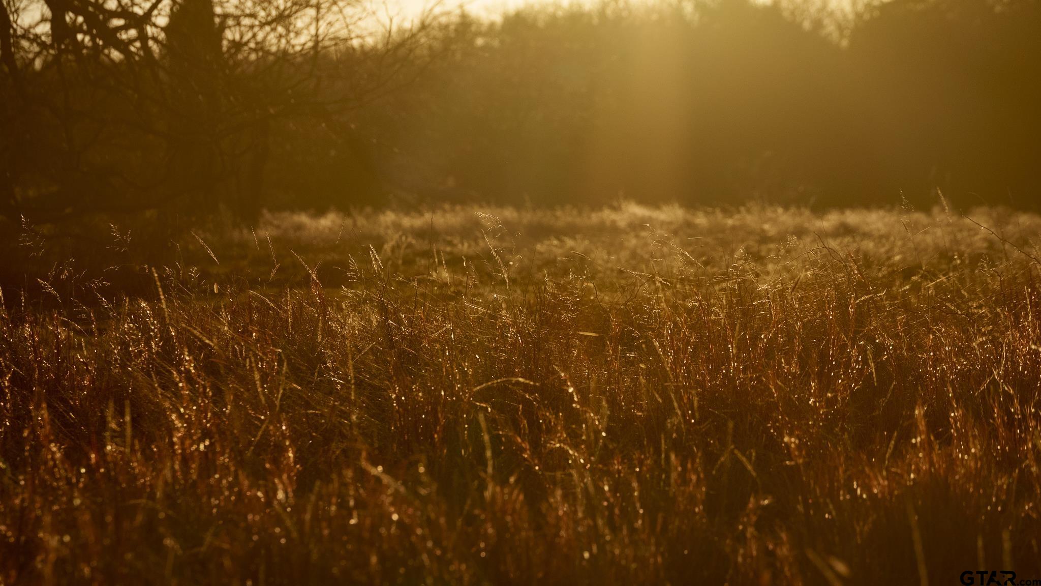 779 County Road 33060 Sumner, TX 75486 - Photo 30 of 48