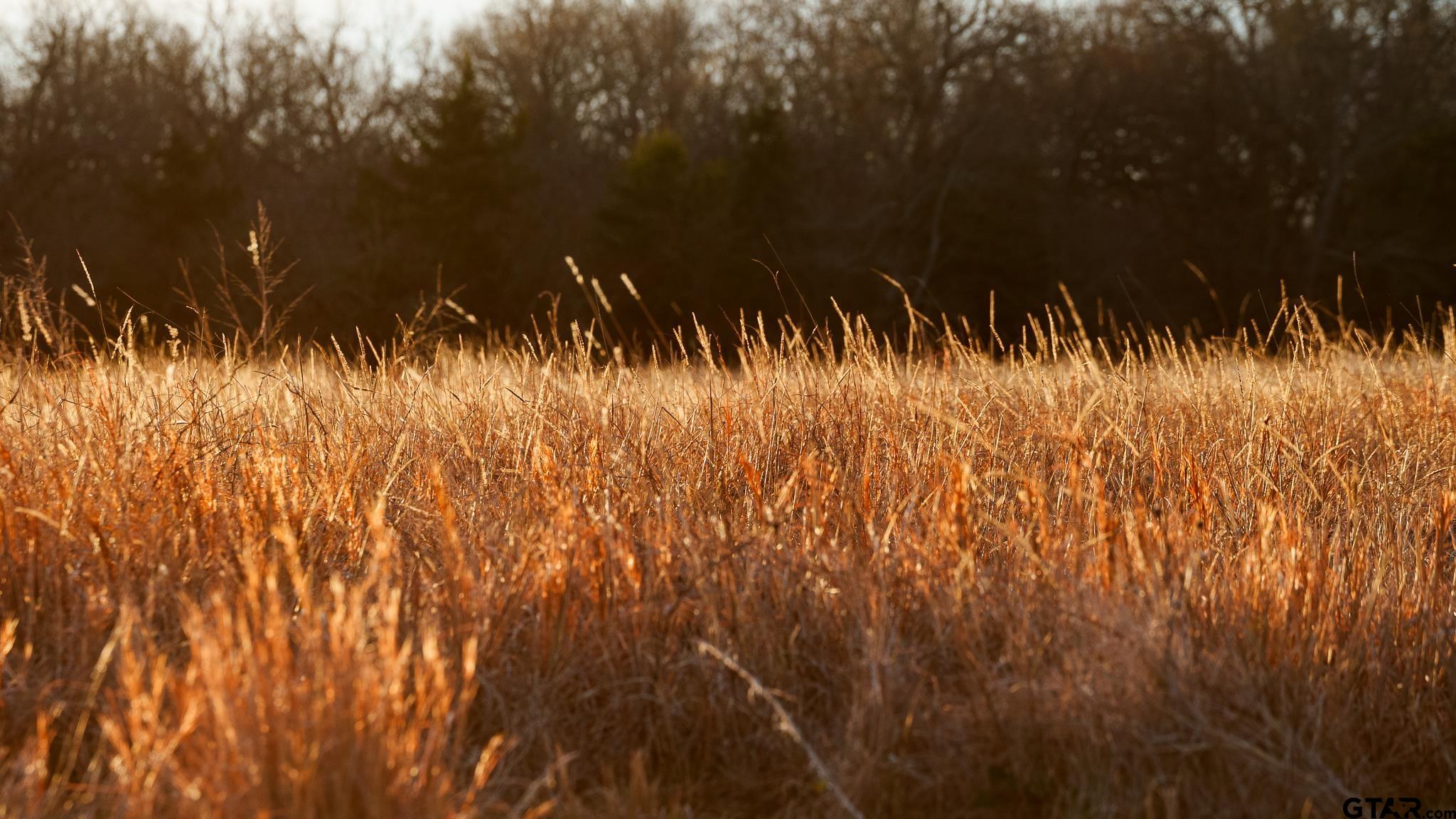 779 County Road 33060 Sumner, TX 75486 - Photo 31 of 48