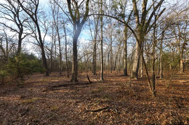 $1,641,600 | 779 County Road 33060, Sumner, TX 75486