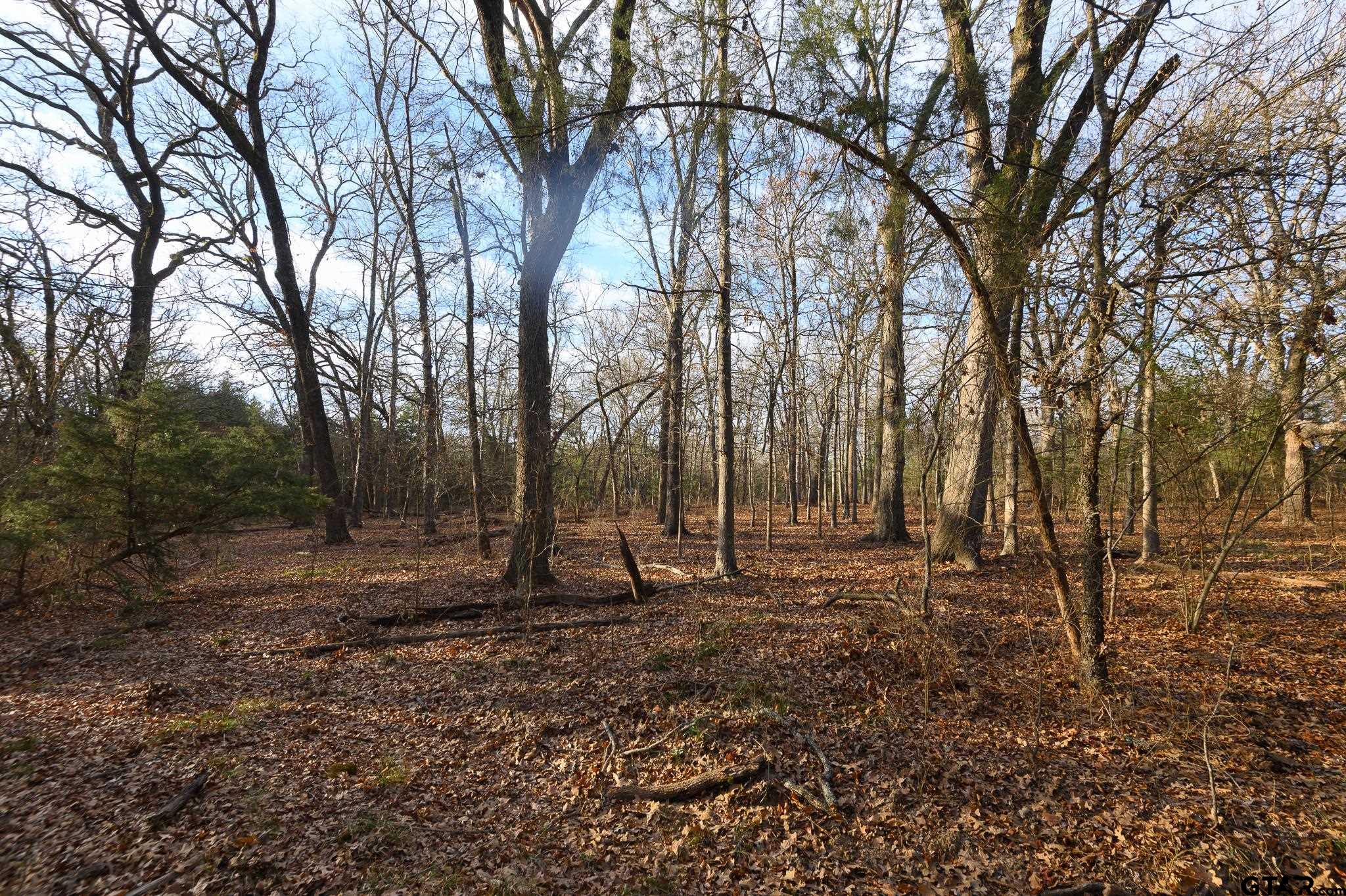 779 County Road 33060 Sumner, TX 75486 - Photo 32 of 48