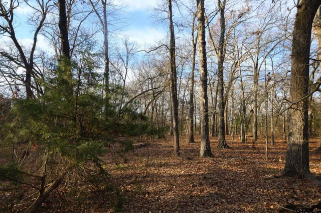 $1,641,600 | 779 County Road 33060, Sumner, TX 75486