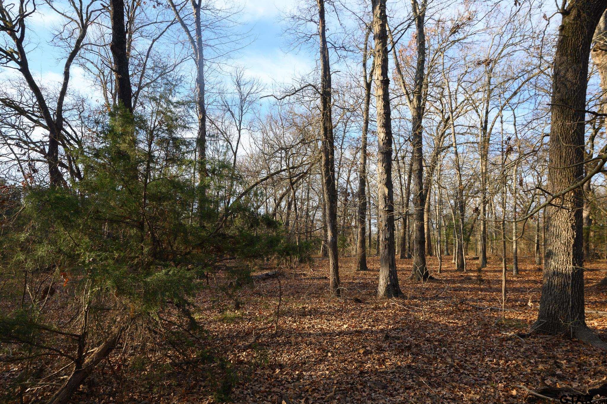 779 County Road 33060 Sumner, TX 75486 - Photo 33 of 48