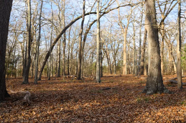 $1,641,600 | 779 County Road 33060, Sumner, TX 75486