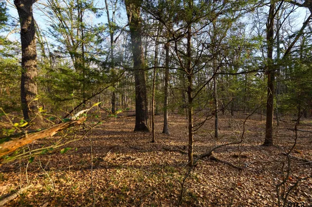 $1,641,600 | 779 County Road 33060, Sumner, TX 75486