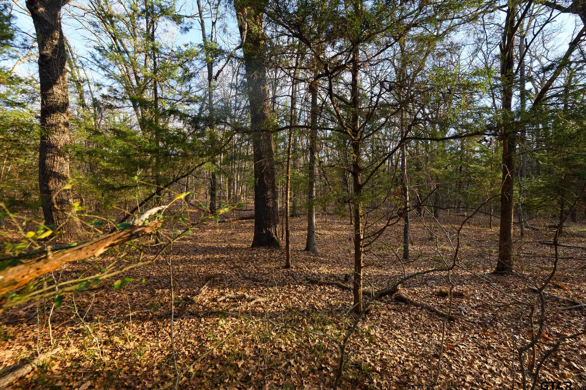 779 County Road 33060 Sumner, TX 75486 - Photo 36 of 48