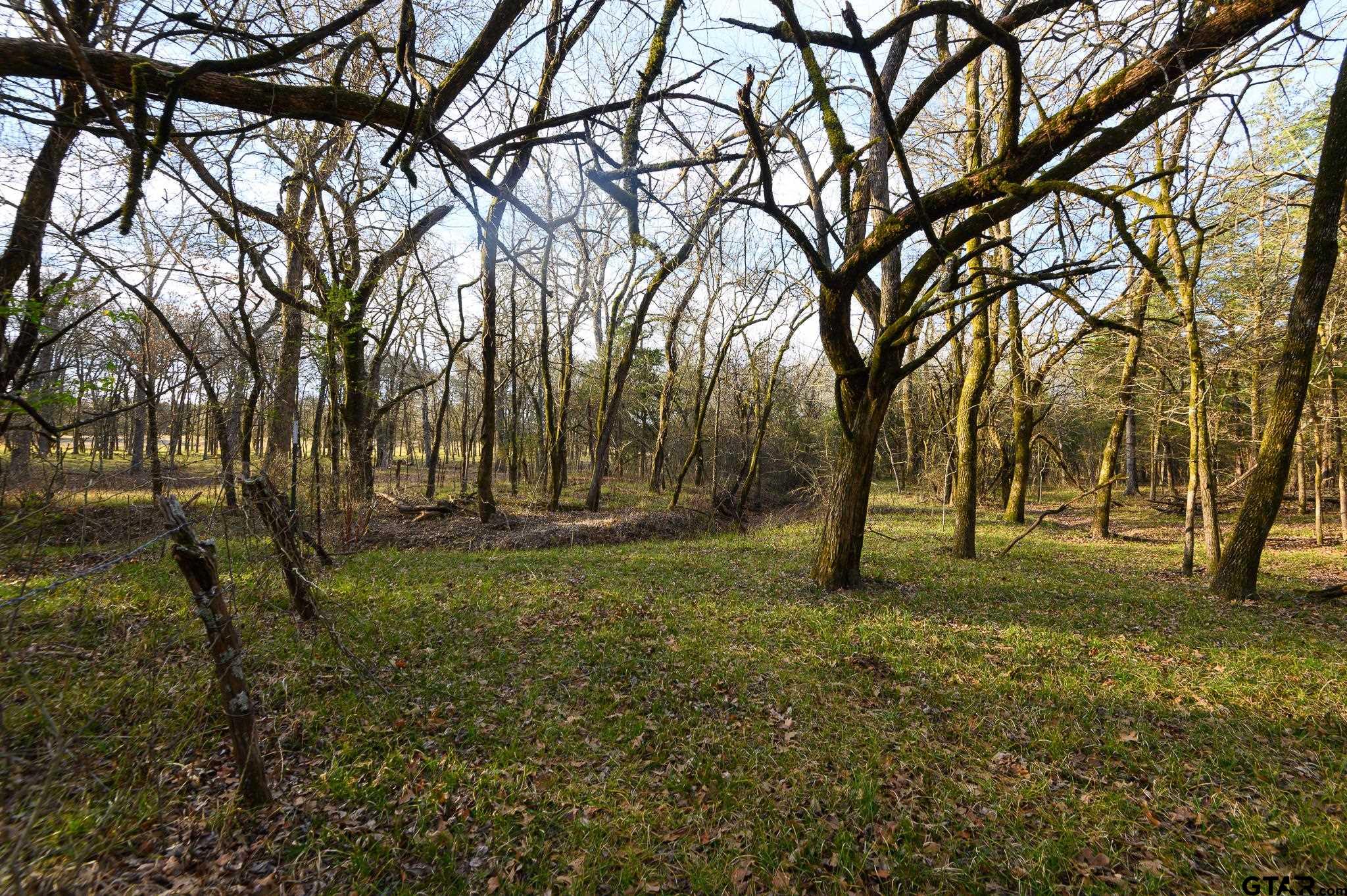 779 County Road 33060 Sumner, TX 75486 - Photo 37 of 48