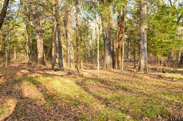 $1,641,600 | 779 County Road 33060, Sumner, TX 75486