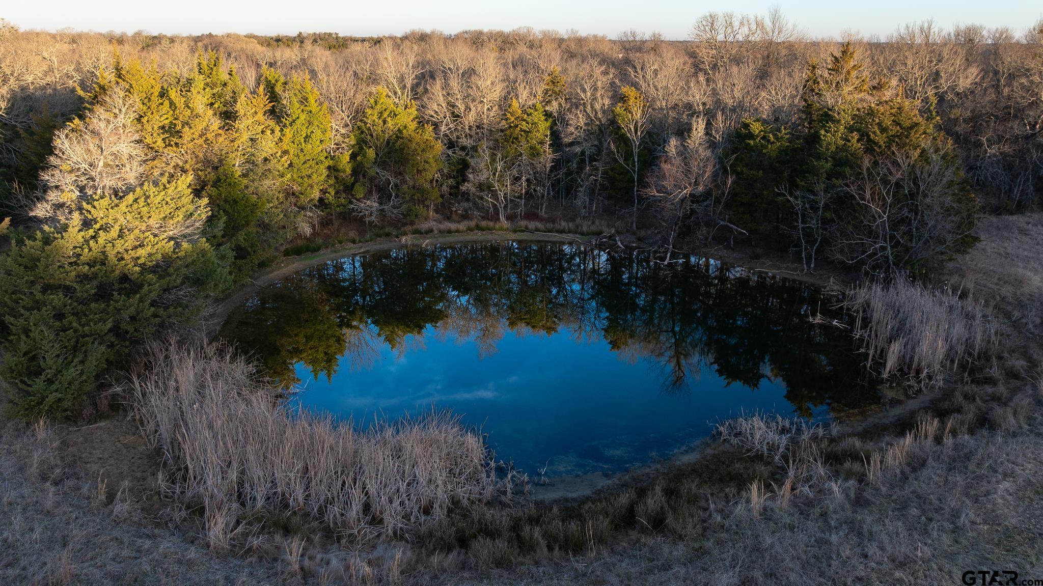 779 County Road 33060 Sumner, TX 75486 - Photo 42 of 48