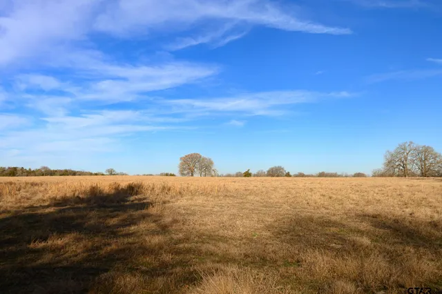 $1,641,600 | 779 County Road 33060, Sumner, TX 75486