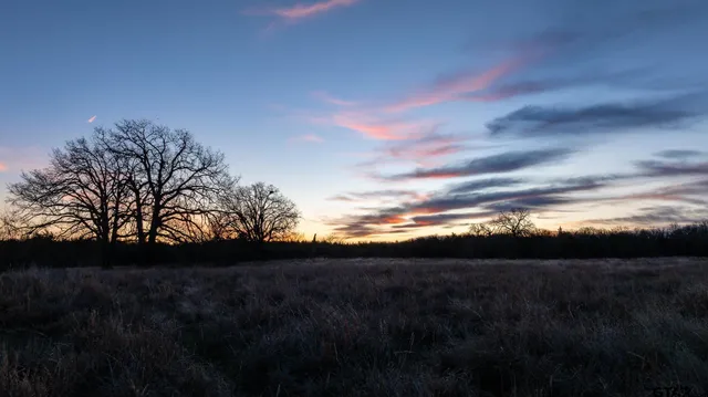 $1,641,600 | 779 County Road 33060, Sumner, TX 75486