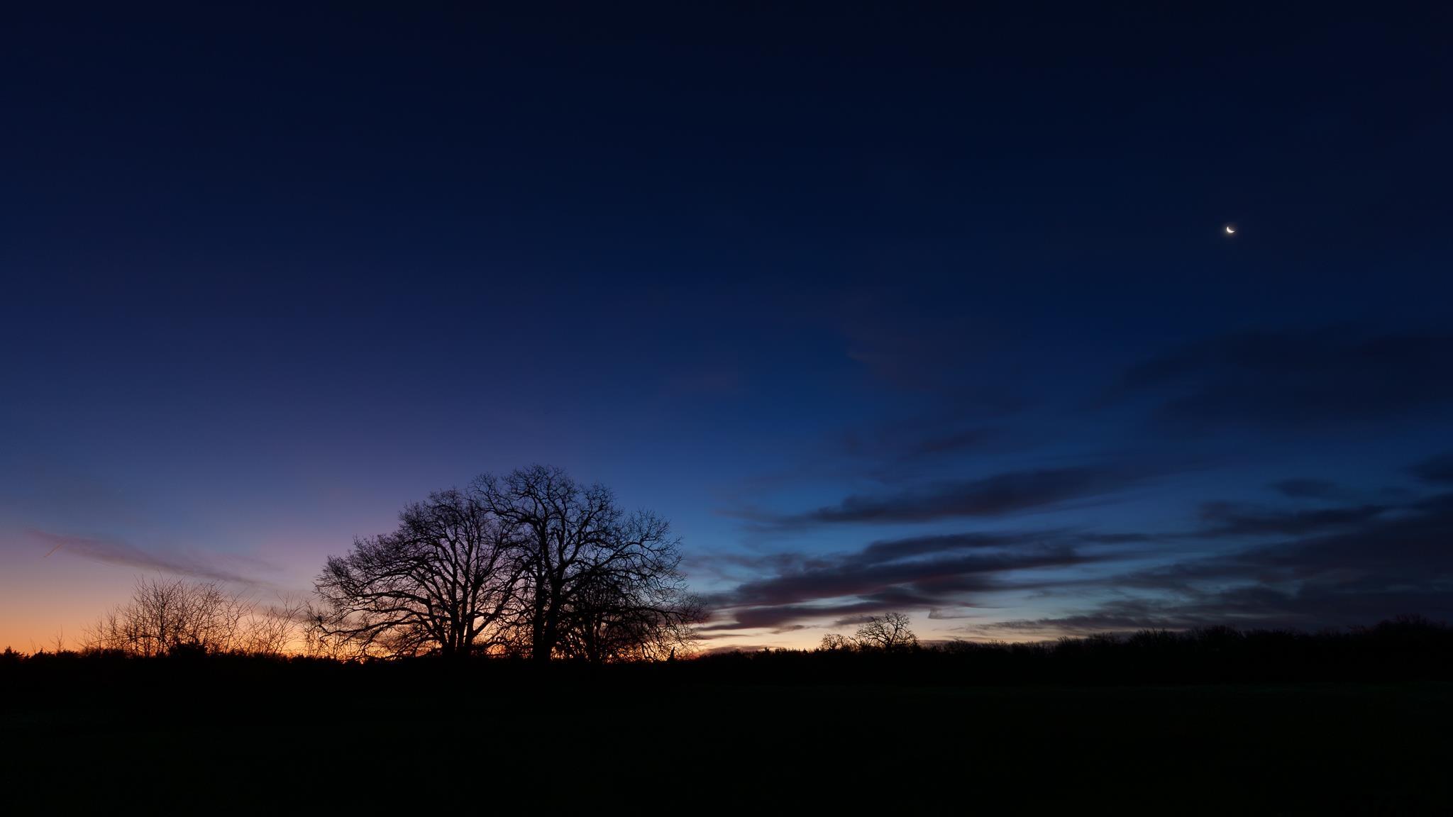 779 County Road 33060 Sumner, TX 75486 - Photo 47 of 48