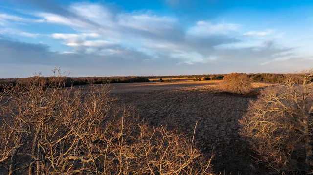 $1,641,600 | 779 County Road 33060, Sumner, TX 75486