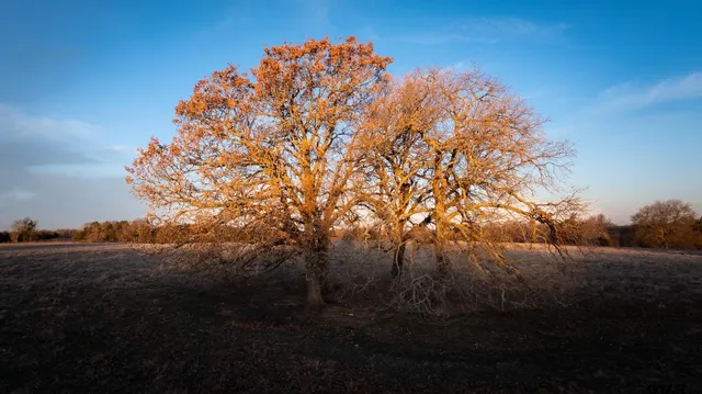 $1,641,600 | 779 County Road 33060, Sumner, TX 75486