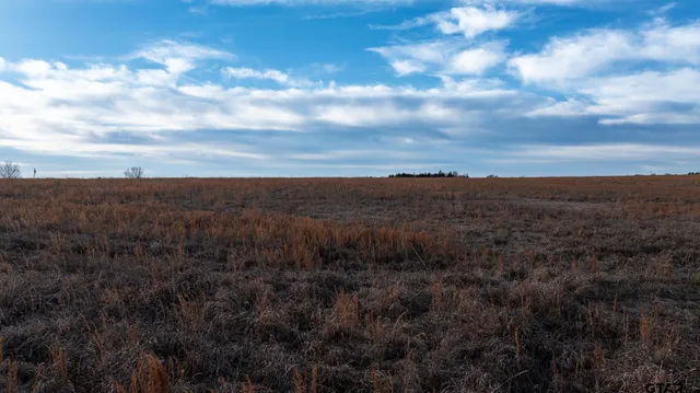 $1,641,600 | 779 County Road 33060, Sumner, TX 75486