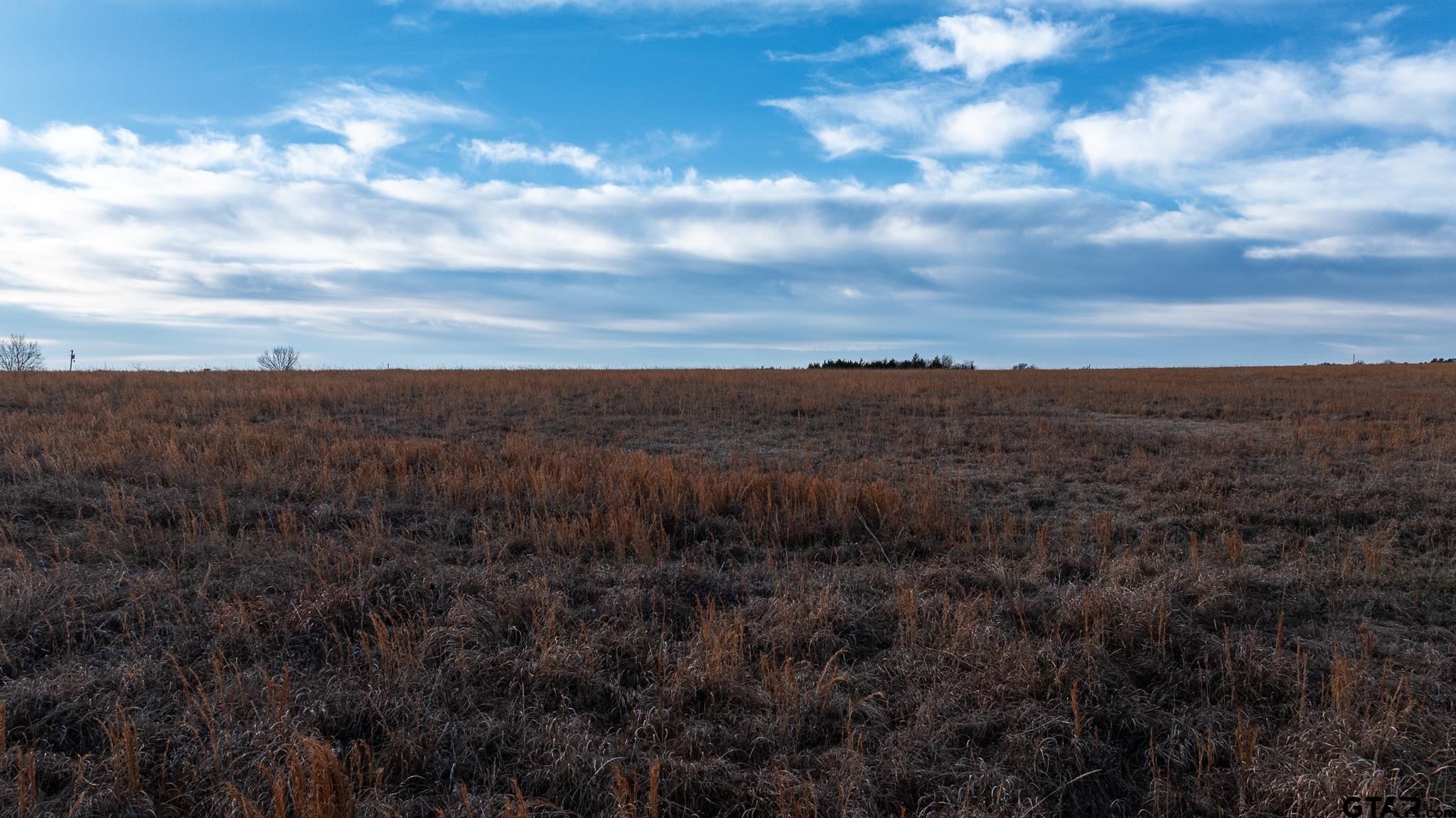 779 County Road 33060 Sumner, TX 75486 - Photo 10 of 48