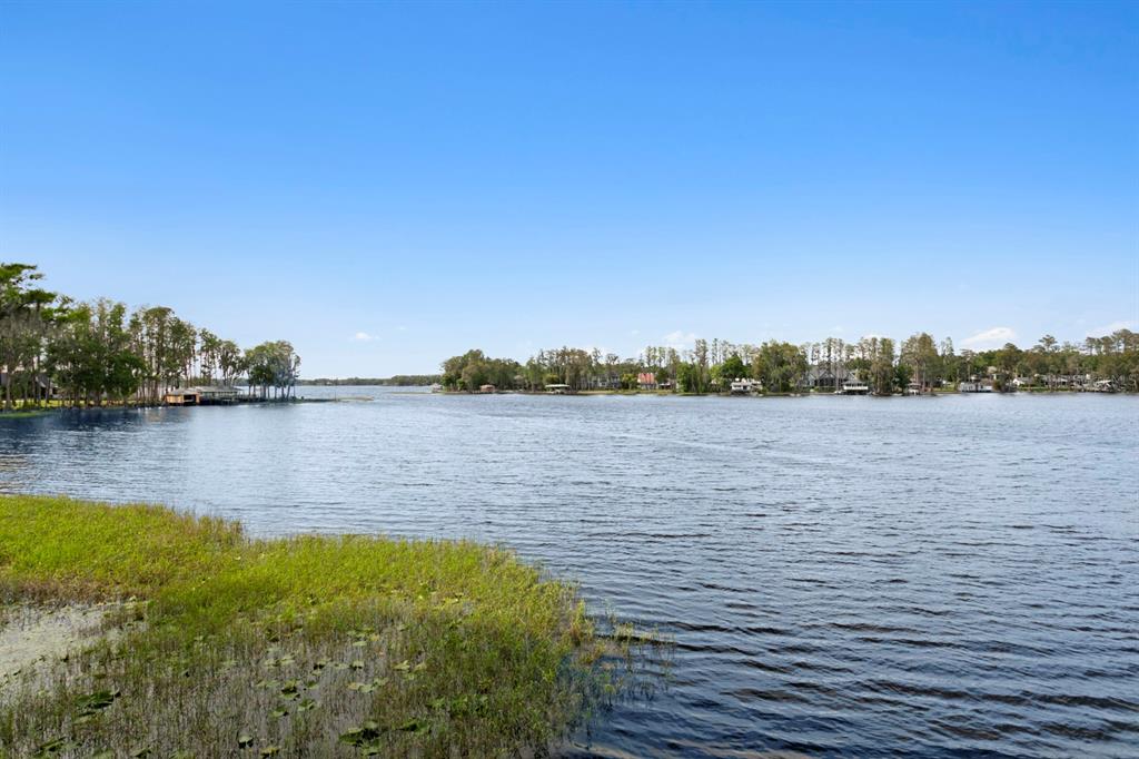 8817 Roberts Road Odessa, FL 33556 - Photo 75 of 100