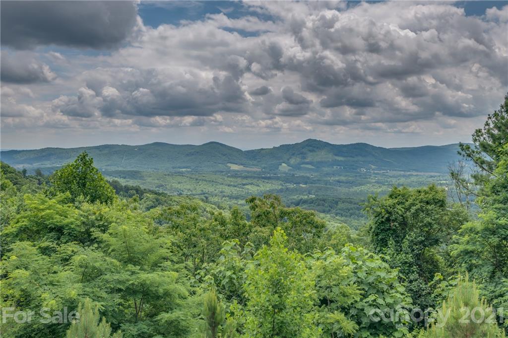 281 Big Rock Road Bostic, NC 28018 - Photo 35 of 48 a view of a field of grass and trees