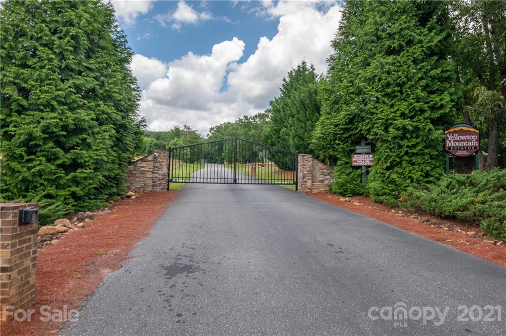 281 Big Rock Road Bostic, NC 28018 - Photo 48 of 48 a view of a street with potted plants and big trees