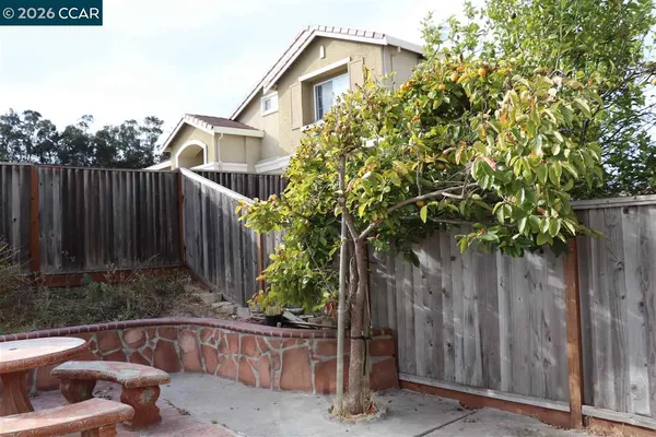 a house view with a backyard space