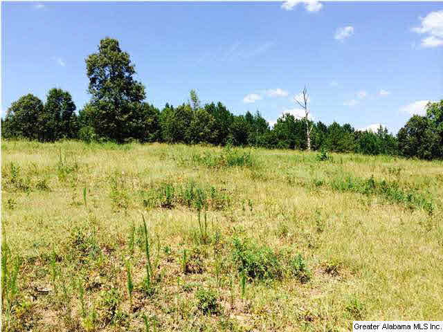 2335 Holmans Cross Road Sylacauga, AL 35150 - Photo 13 of 16