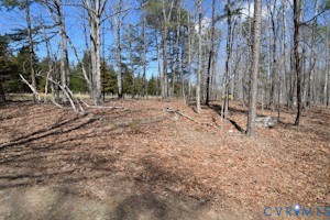 -b) Holman Mill Road Farmville, VA 23901 - Photo 1 of 9 a backyard of a house with lots of green space