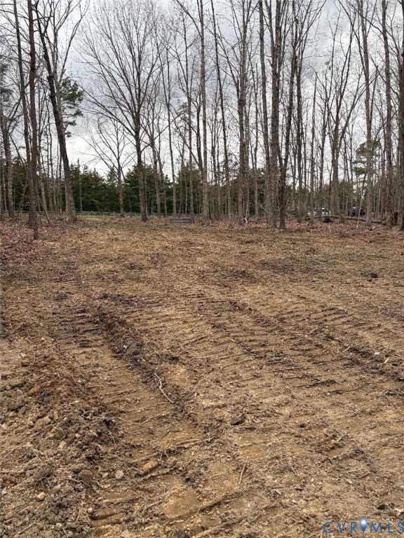 -b) Holman Mill Road Farmville, VA 23901 - Photo 6 of 9 a backyard of a house with large trees