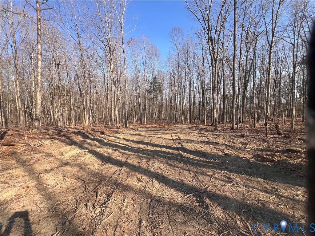 -b) Holman Mill Road Farmville, VA 23901 - Photo 7 of 9 a view of outdoor space with wooden fence