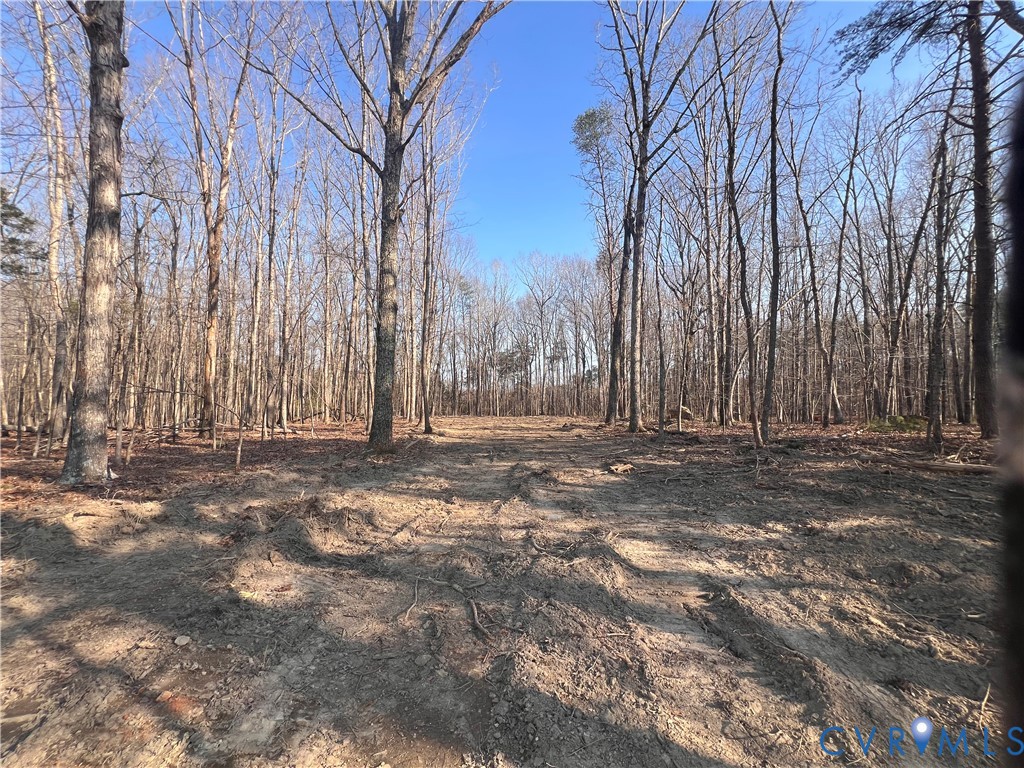 -b) Holman Mill Road Farmville, VA 23901 - Photo 8 of 9 a view of outdoor space with city view