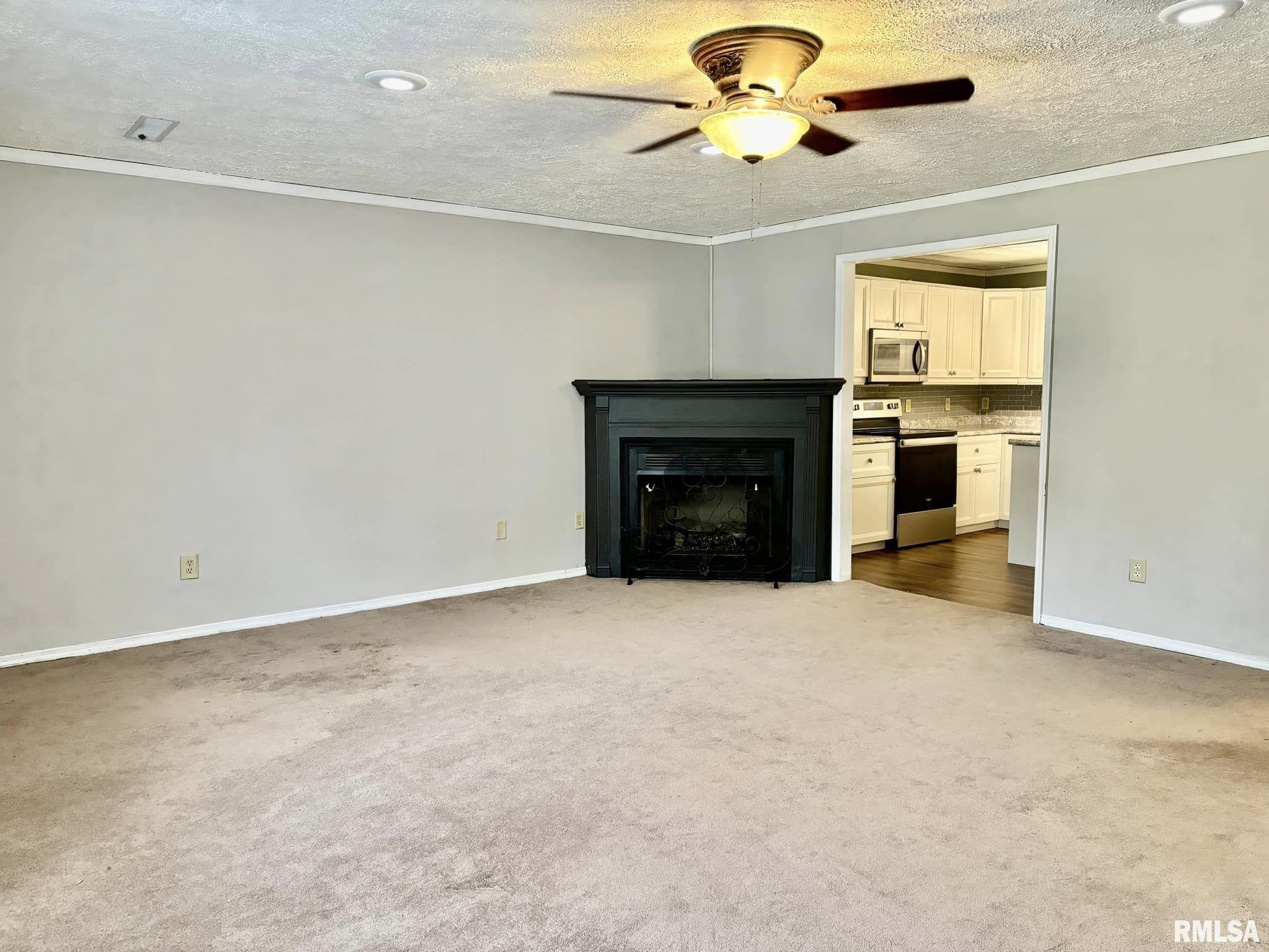3417 Rice Hill Road Grantsburg, IL 62943 - Photo 7 of 29