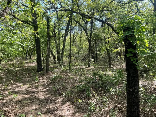 a view of outdoor space and green space