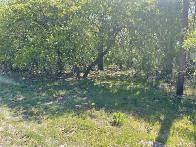 a view of a lake with a tree