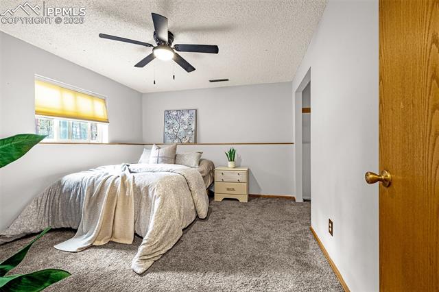 15845 Roller Coaster Road Colorado Springs, CO 80921 - Photo 15 of 29 Gallery Image 15