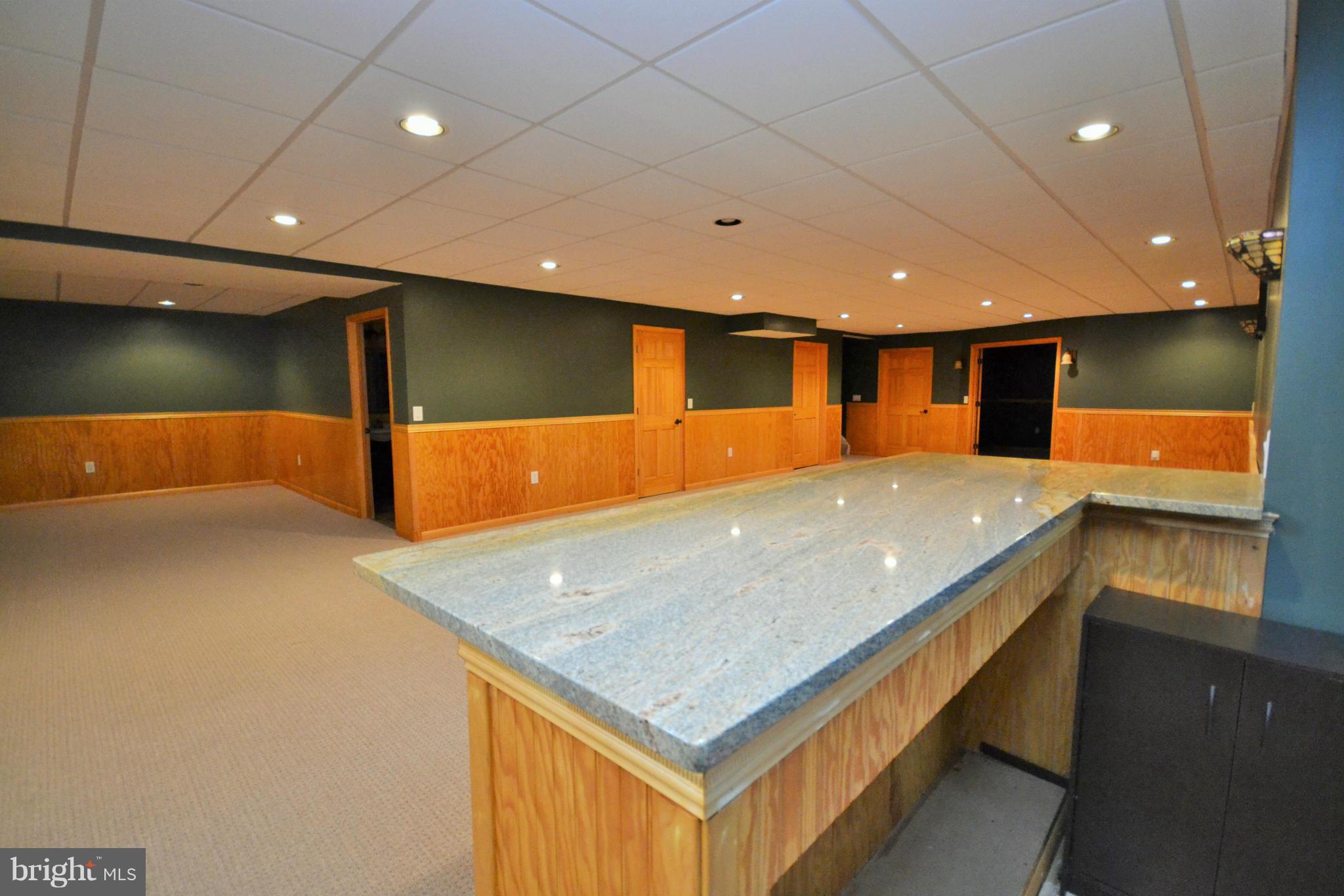 3233 Fortune Mountain Road Marshall, VA 20115 - Photo 21 of 30 Basement Bar