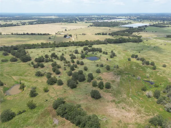 a view of a small yard