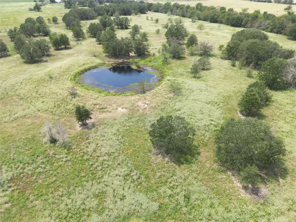 an aerial view of forest