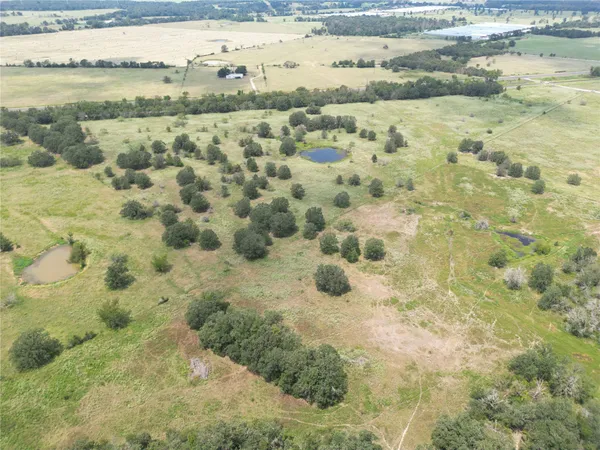 a view of outdoor space and garden