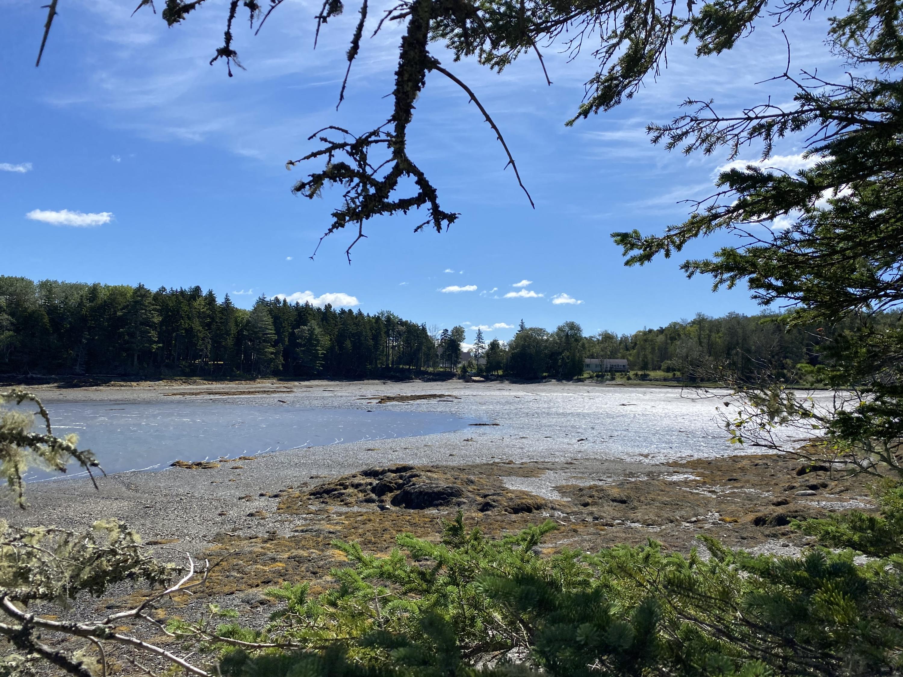 0 West Bay Road Islesboro, ME 04848 - Photo 22 of 60 IMG_1546