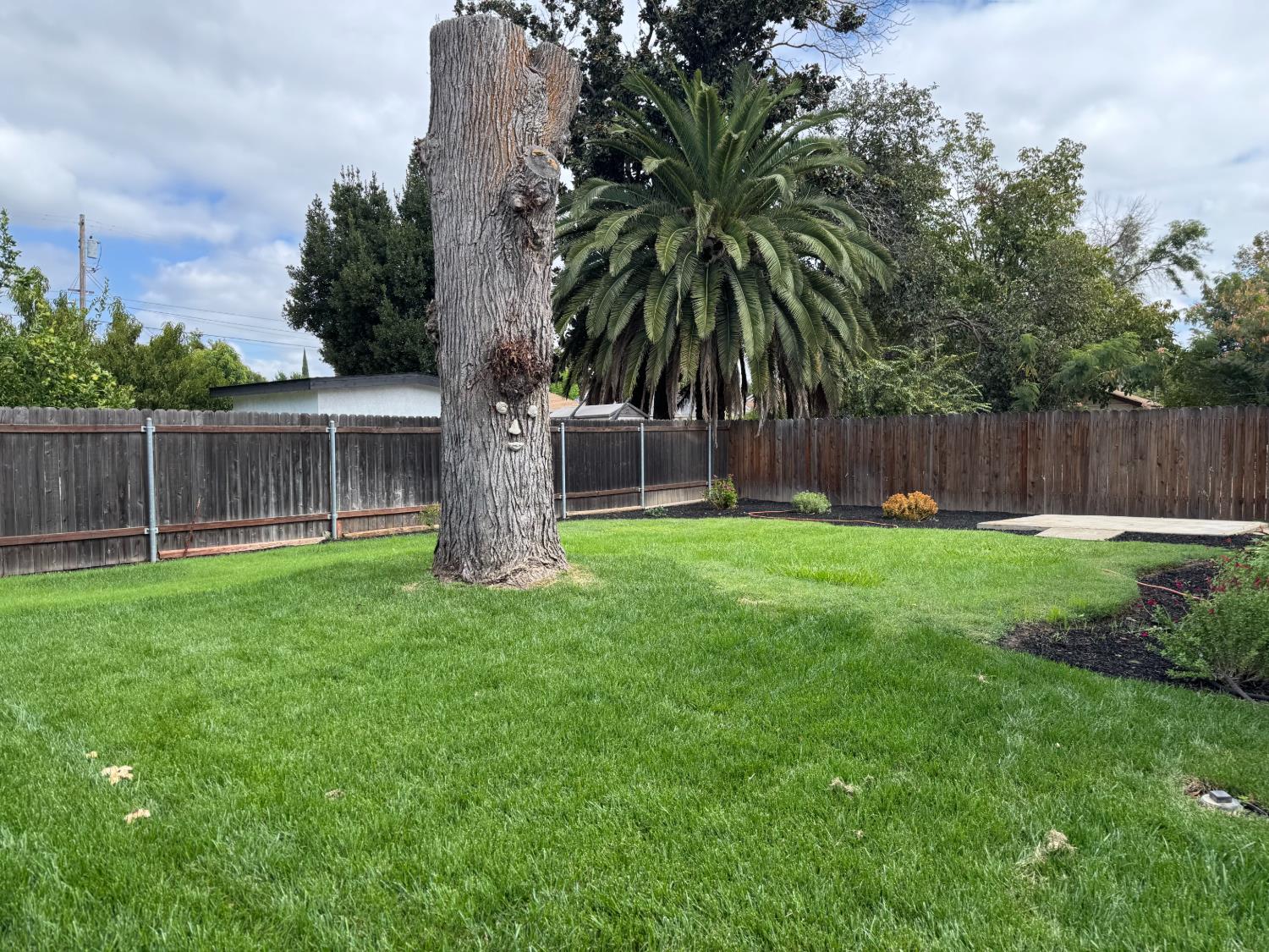 169 Morton Street Yuba City, CA 95991 - Photo 11 of 13 Gallery Image 11