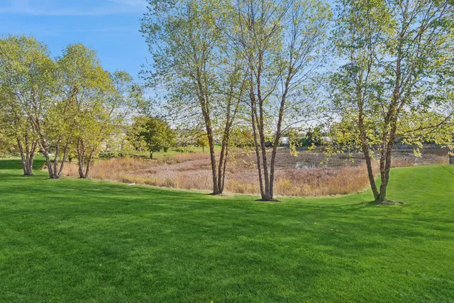 a view of a park with large trees