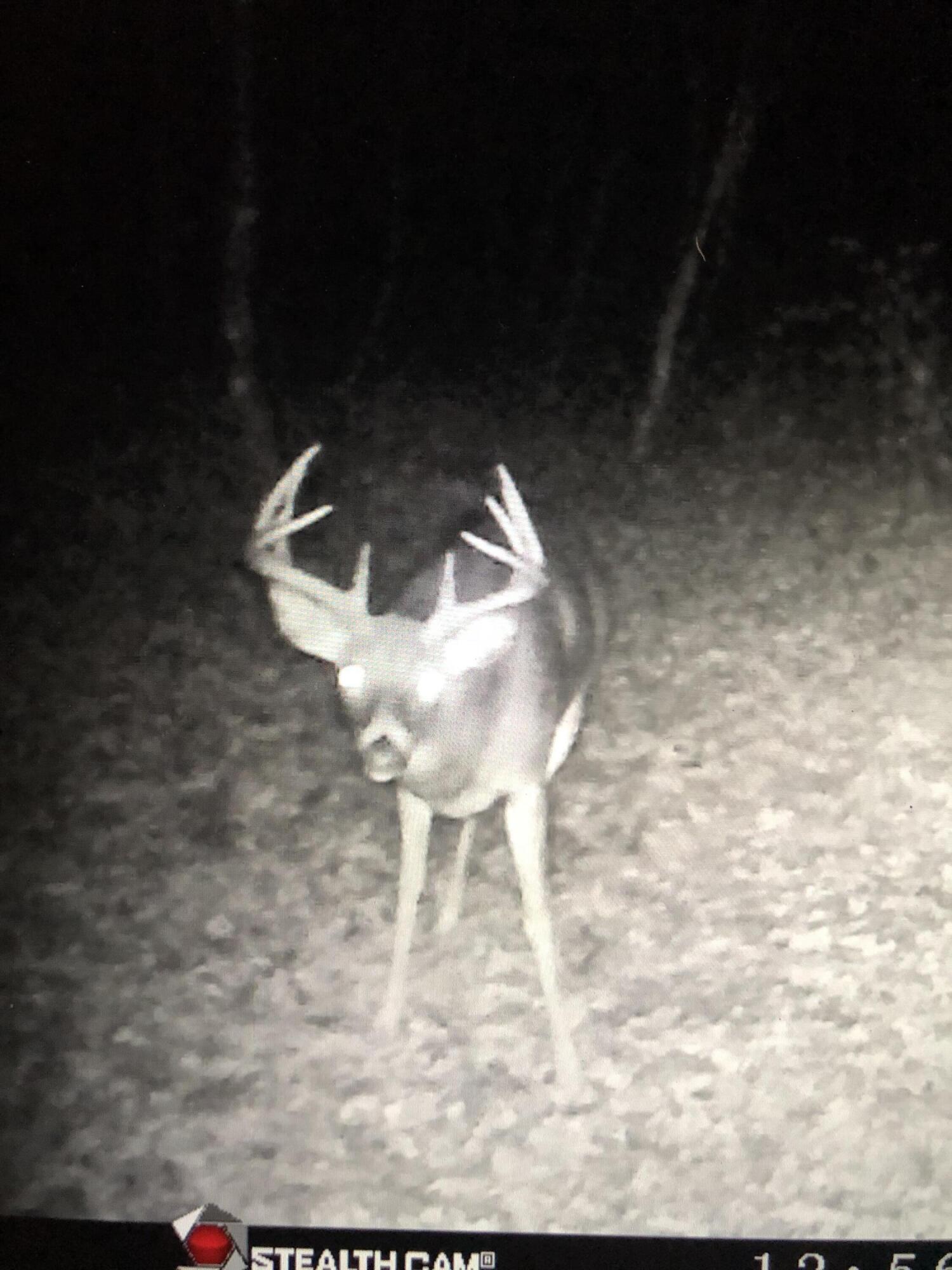 5766 Cambridge Road Little Falls, WI 54656 - Photo 3 of 9 IMG_2543