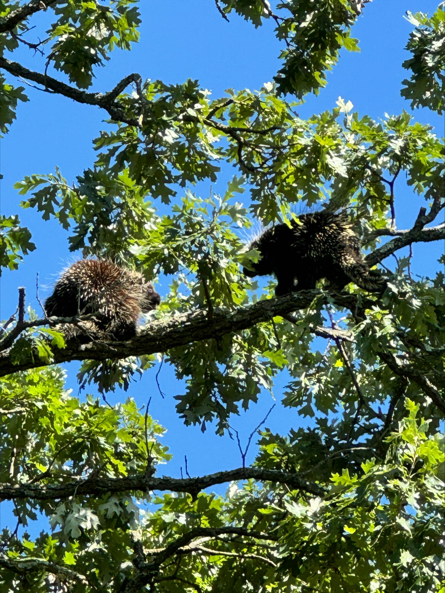 5766 Cambridge Road Little Falls, WI 54656 - Photo 7 of 9 processed-5FA3D371-93A4-44D1-A0ED-C797B4