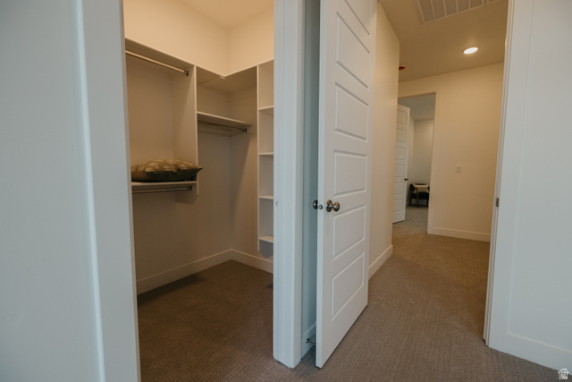 2759 Becco Trail, Unit 16 St. George, UT 84770 - Photo 39 of 42 Walk in closet with carpet floors