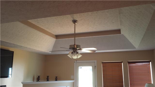 1847 Cairo Road Gallatin, TN 37066 - Photo 4 of 17 Trey Ceilings in open living room.