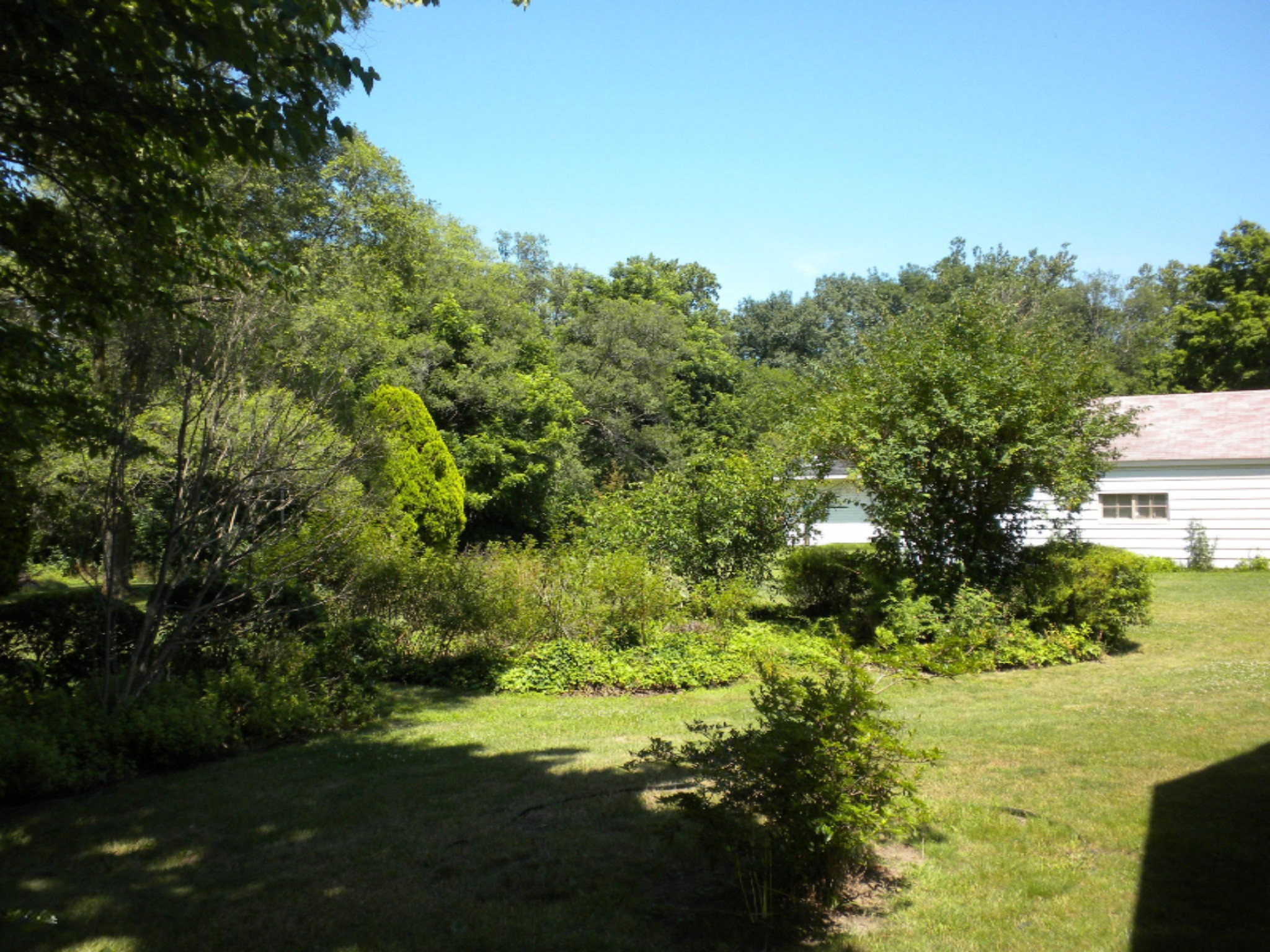 211 Ryno Road Coloma, MI 49038 - Photo 3 of 24 014
