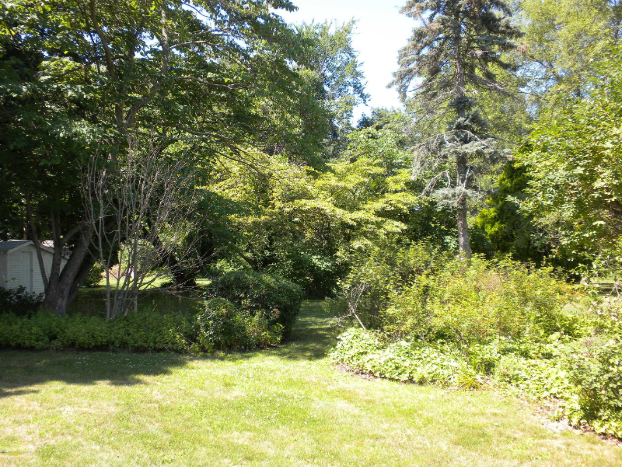 211 Ryno Road Coloma, MI 49038 - Photo 4 of 24 029