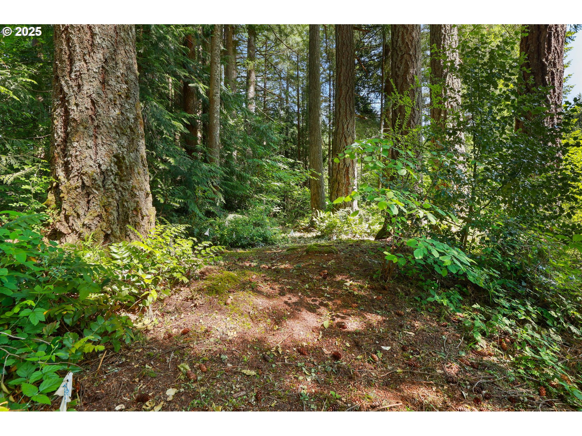 25701 South Morgan Road Estacada, OR 97023 - Photo 47 of 48 Gallery Image 47