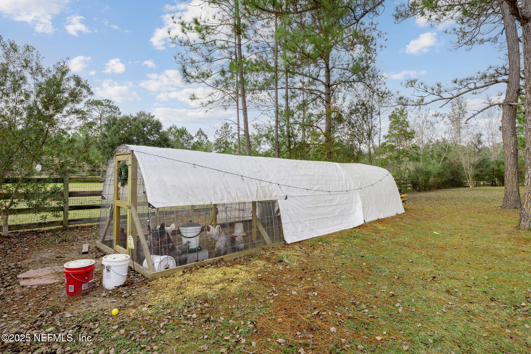 8415 Plantation Road Macclenny, FL 32063 - Photo 54 of 82 54-web-or-mls-8415 Plantation Rd (59 of