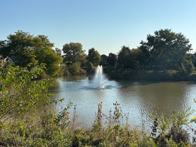 14947 Landings Lane Oak Forest, IL 60452 - Photo 33 of 35